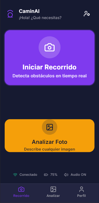 Camin - AI Visual Assistant Screenshot